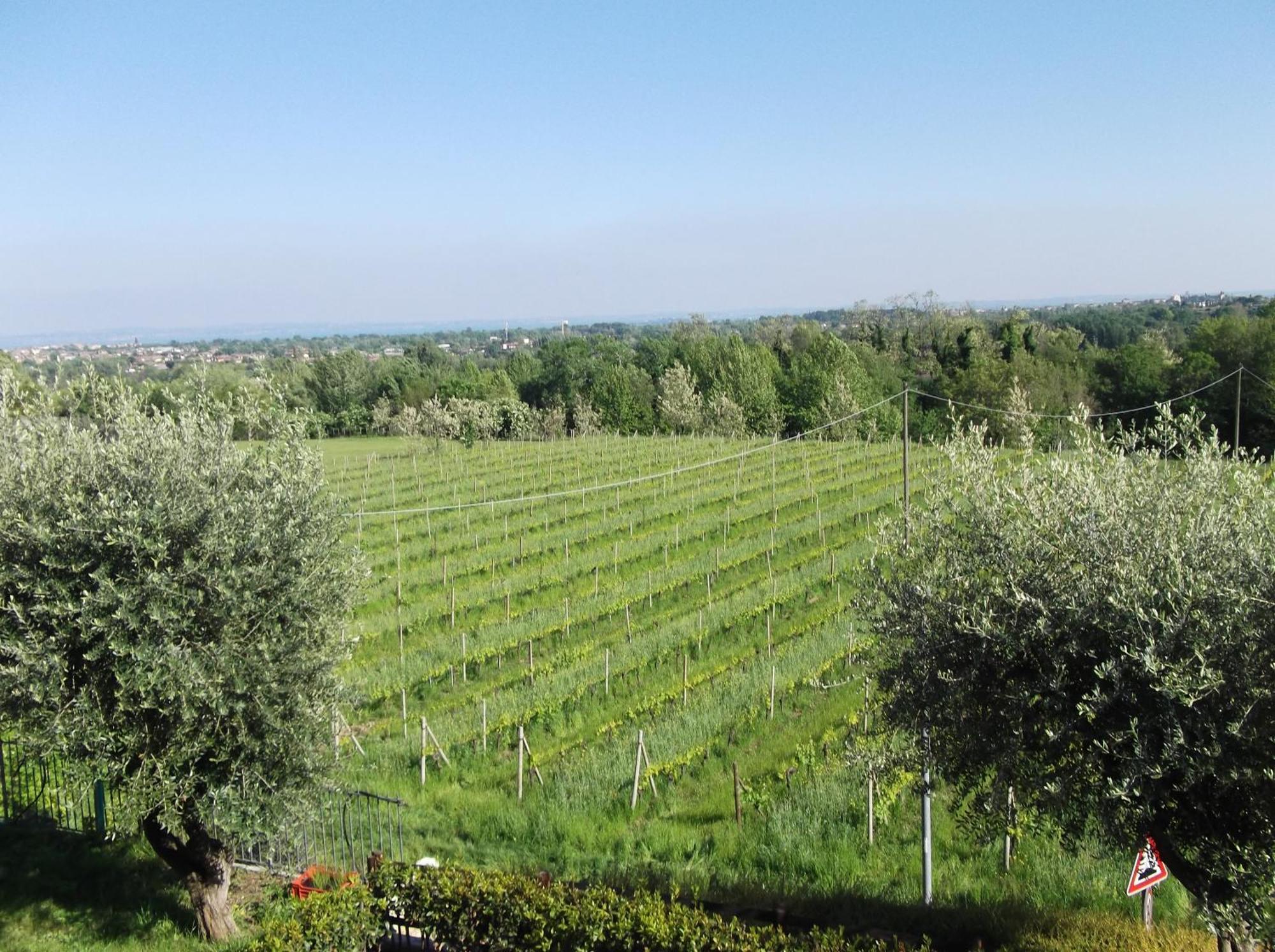 Villa Paradiso Polpenazze del Garda Exterior foto